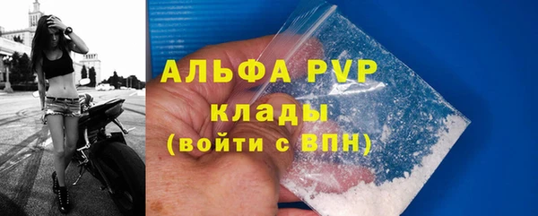 PSILOCYBIN Белокуриха