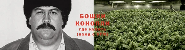 первитин Белоозёрский