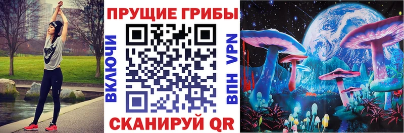OMG   Мурманск  Галлюциногенные грибы мицелий  купить наркотики сайты 